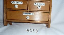 ANTIQUE ca 1900 AUSTRIAN 9 DRAWERS SPICE CABINET RUSTIC FOLK ART DESIGN