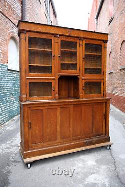 Antique Cigar Store Display Cabinet Apothecary Oak Wood and Glass Doors Brass