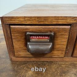 Antique Globe Wernicke Police Library Card Catalog File Cabinet 2 drawer RARE