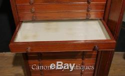 Antique Victorian Walnut Specimen Cabinet Chest Interiors Salvage