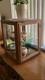 Antique Wood And Glass Curio Cabinet