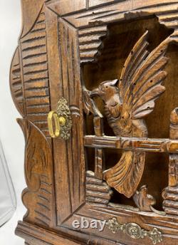 Antique german black forest apothecary cabinet furniture 19th century woodwork
