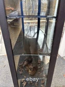 Antique wood cabinet curved glass Great Display Cabinet