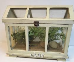 VINTAGE Terrarium display case (13X16X9) Table Top Mini Greenhouse Planter