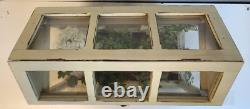 VINTAGE Terrarium display case (13X16X9) Table Top Mini Greenhouse Planter