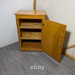 Vintage Rustic Art Deco Mid Century Modern Rolling Cabinet with Door Shelves D64