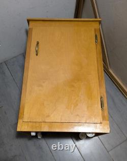 Vintage Rustic Art Deco Mid Century Modern Rolling Cabinet with Door Shelves D64