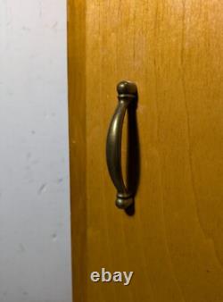 Vintage Rustic Art Deco Mid Century Modern Rolling Cabinet with Door Shelves D64