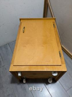 Vintage Rustic Art Deco Mid Century Modern Rolling Cabinet with Door Shelves D64