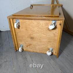 Vintage Rustic Art Deco Mid Century Modern Rolling Cabinet with Door Shelves D64